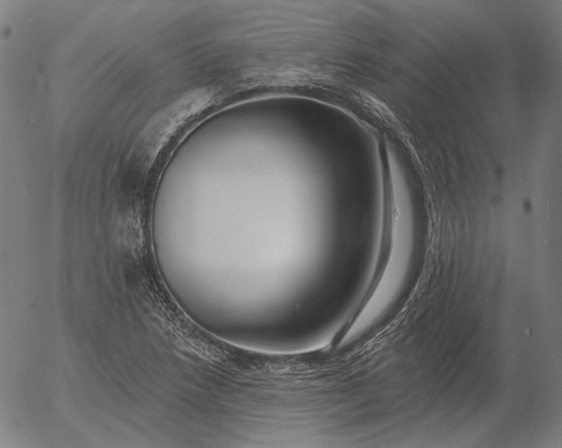 X0000055991218200509021630