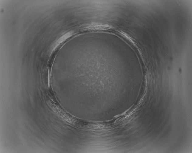 X0000055991219200509021630