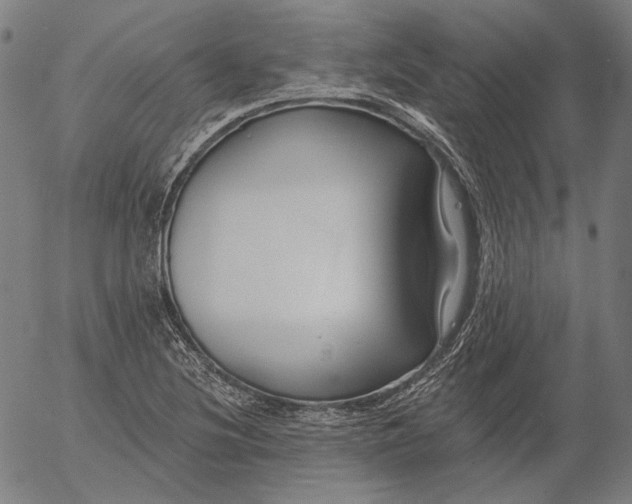 X0000055991220200509021630