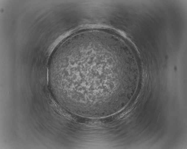 X0000055991221200509021630