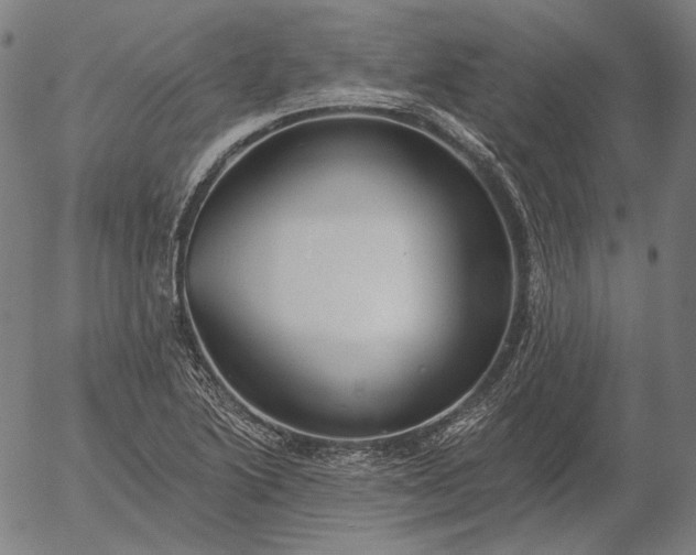 X0000055991222200509021630