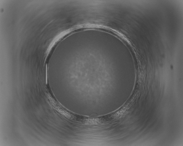 X0000055991223200509021630