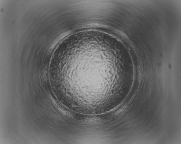 X0000055991225200509021630