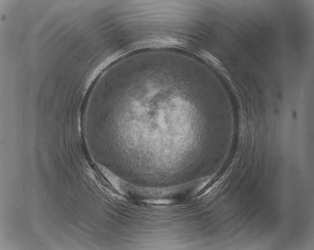 X0000055991226200509021630