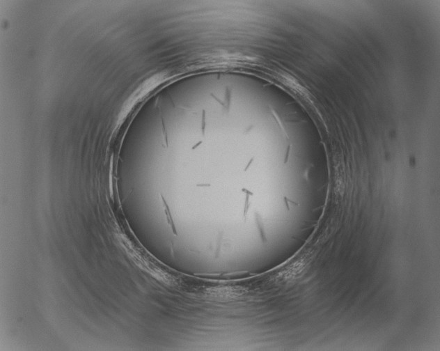 X0000055991227200509021630