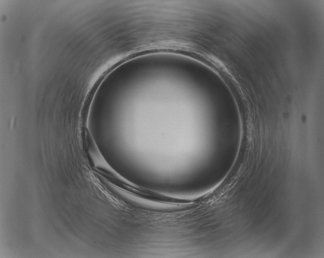 X0000055991230200509021630