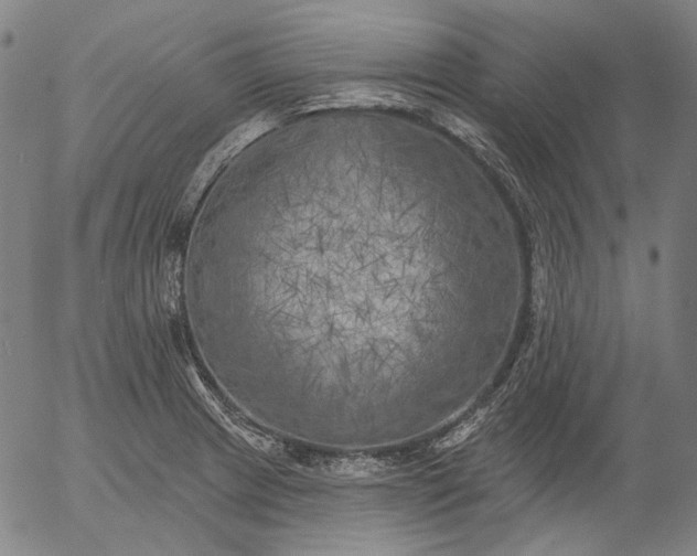 X0000055991233200509021630