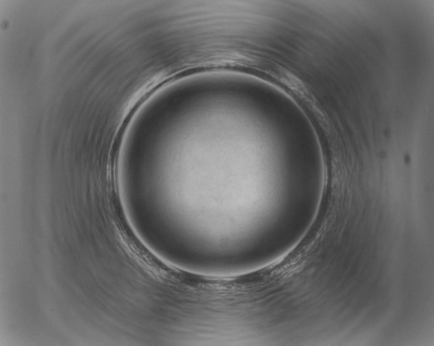 X0000055991234200509021630