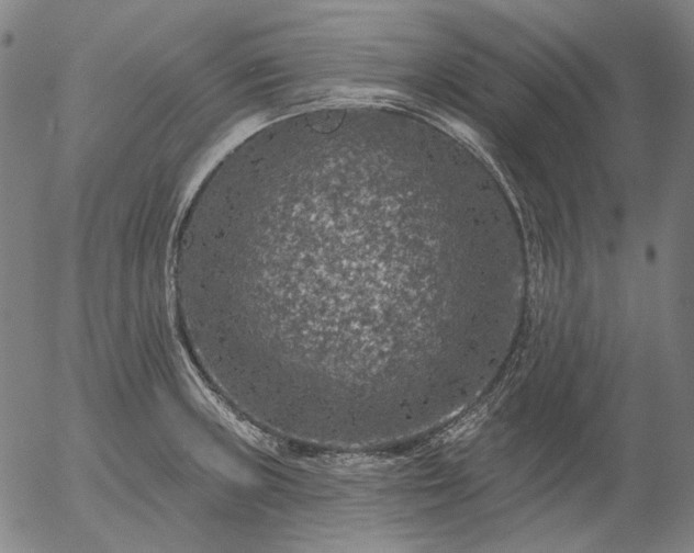 X0000055991235200509021630