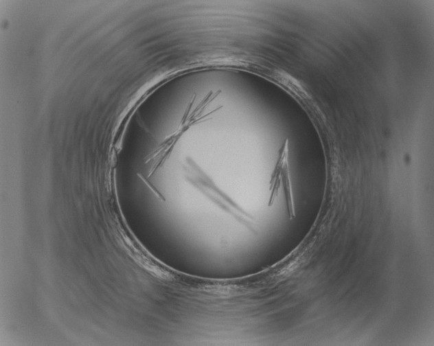 X0000055991236200509021630