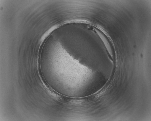 X0000055991237200509021630