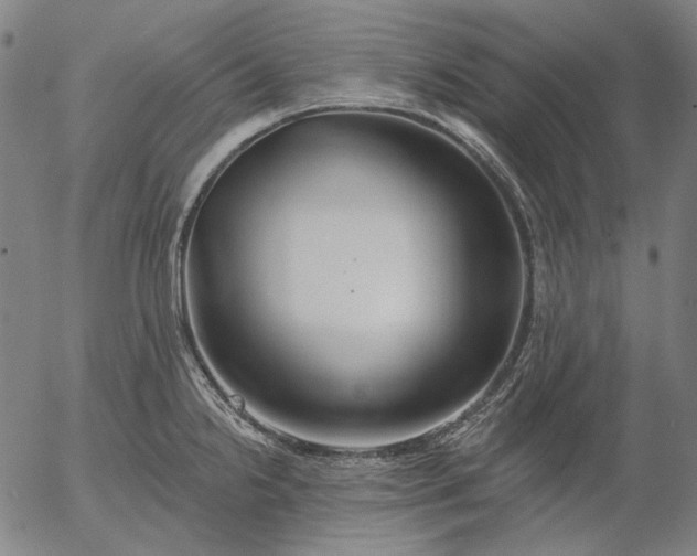 X0000055991238200509021630