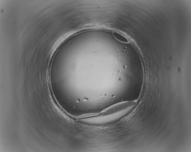 X0000055991239200509021630