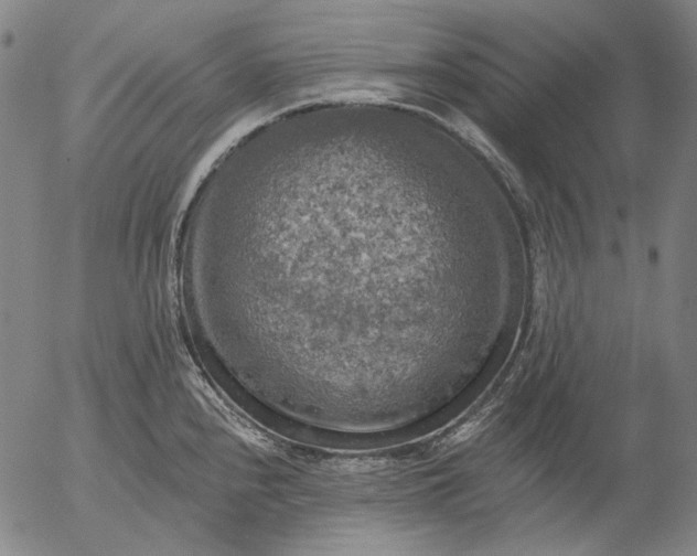 X0000055991240200509021630