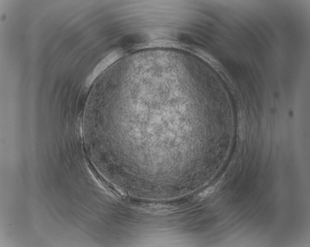 X0000055991241200509021630