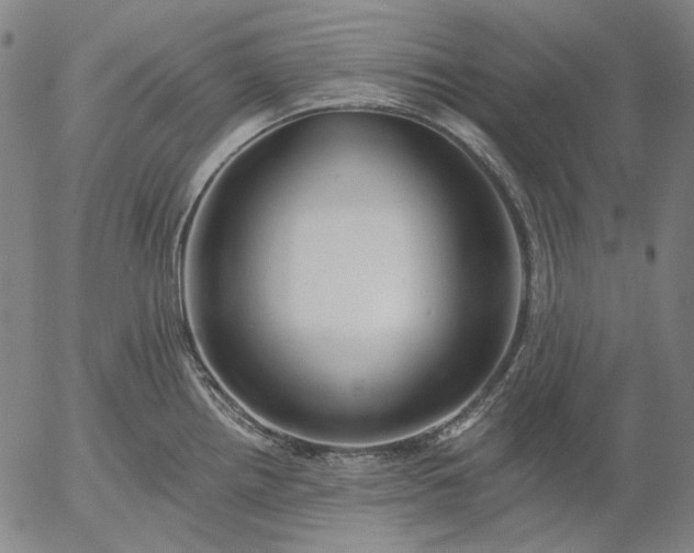 X0000055991242200509021630