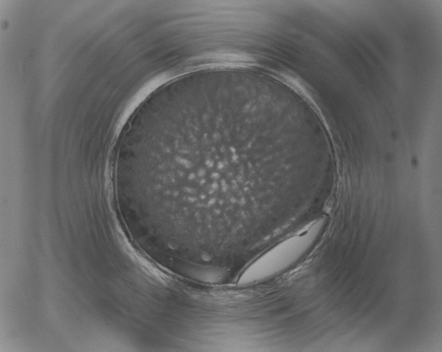 X0000055991243200509021630