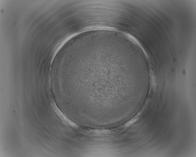 X0000055991244200509021630