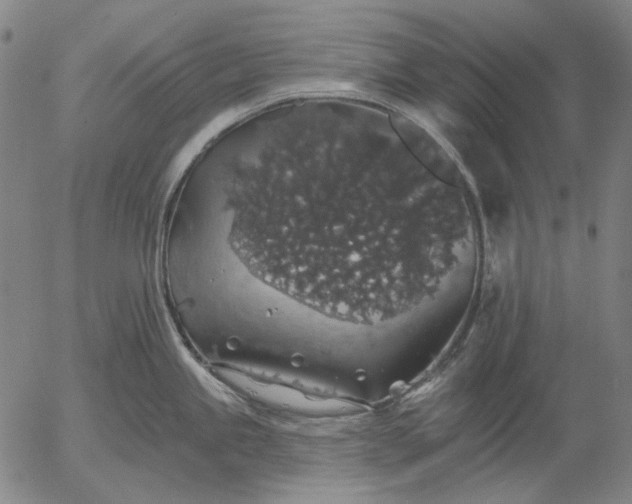 X0000055991245200509021630