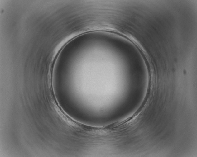 X0000055991246200509021630