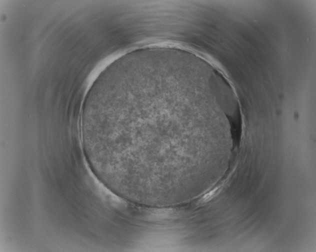 X0000055991247200509021630