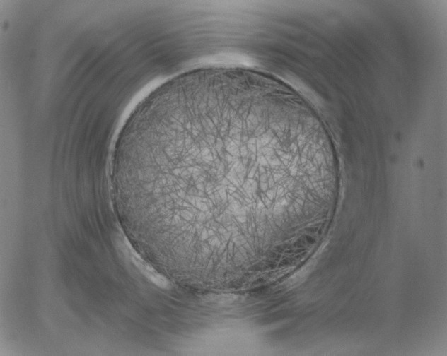 X0000055991248200509021630