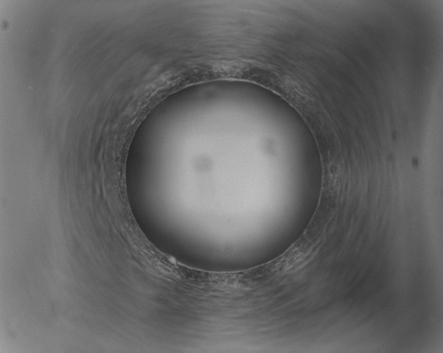 X0000055991249200509021629