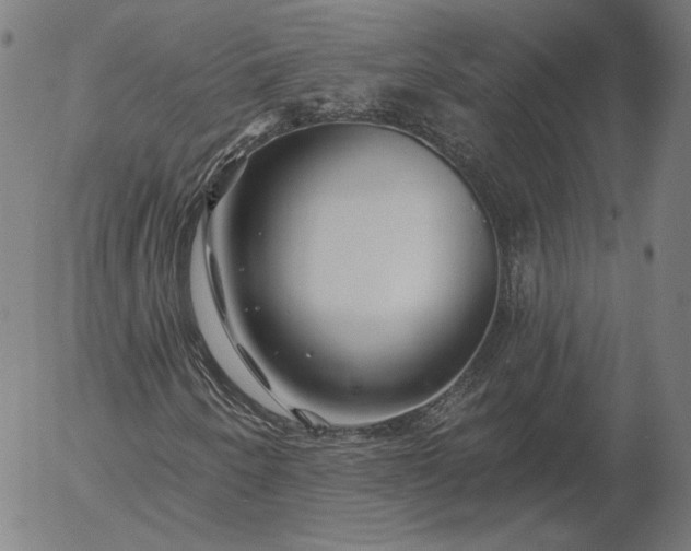 X0000055991250200509021629