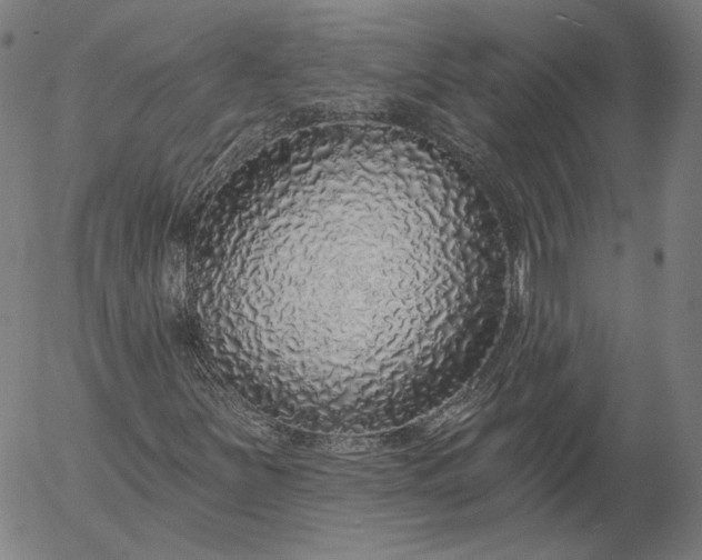 X0000055991251200509021629