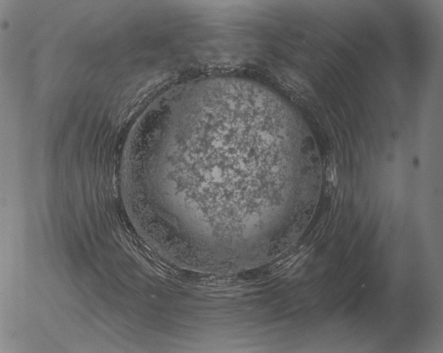 X0000055991252200509021629