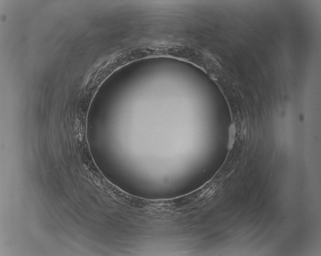 X0000055991253200509021629