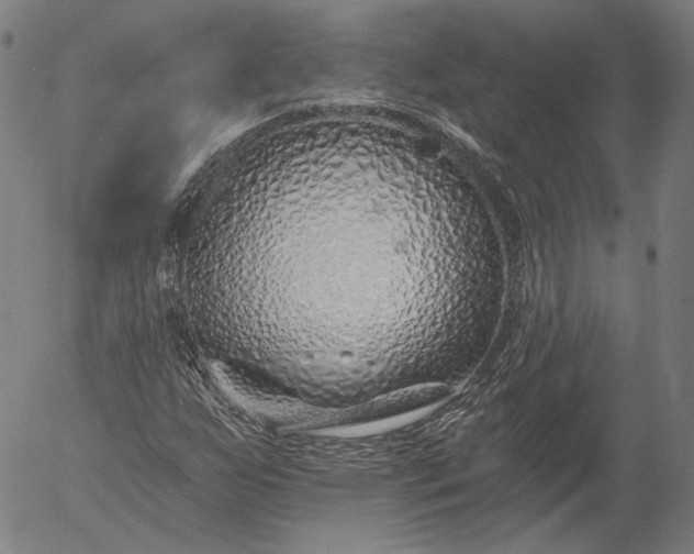 X0000055991255200509021629