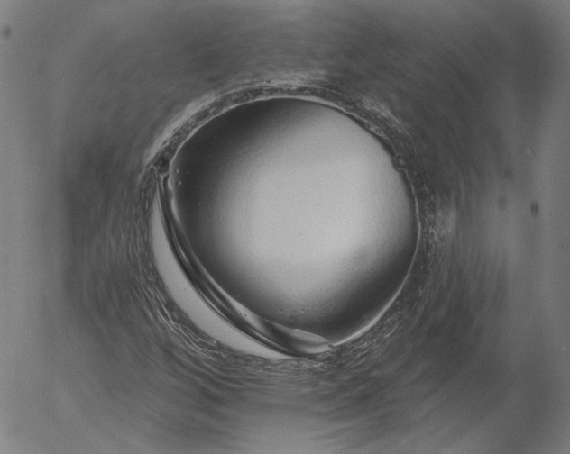 X0000055991256200509021629