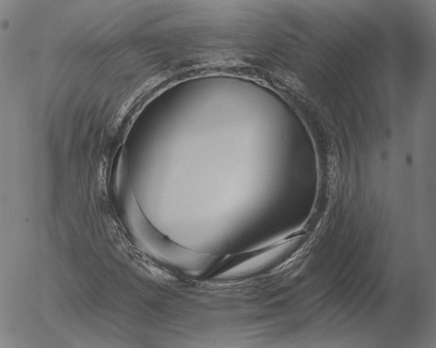 X0000055991257200509021629