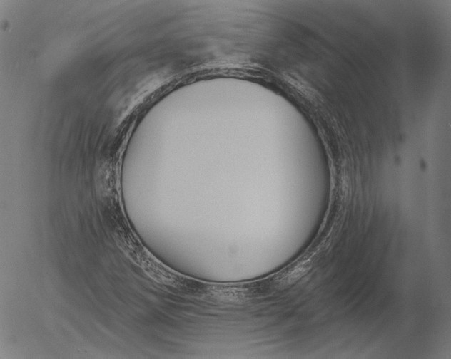 X0000055991258200509021629