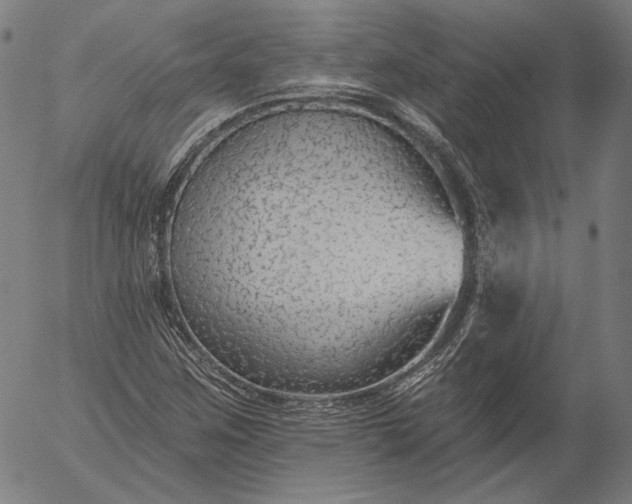 X0000055991259200509021629