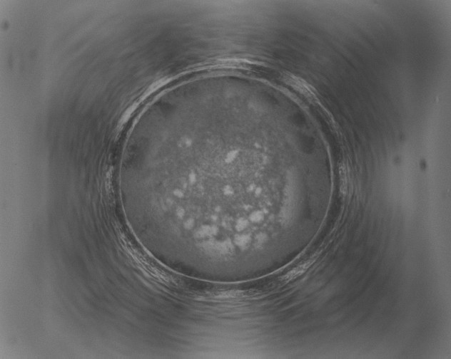 X0000055991260200509021629