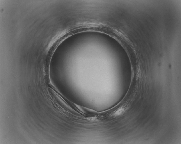 X0000055991261200509021629