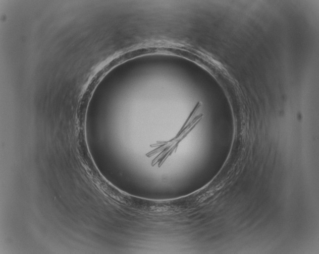 X0000055991264200509021629