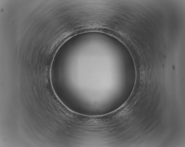 X0000055991265200509021629