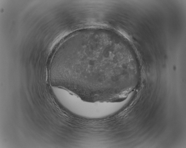 X0000055991267200509021629