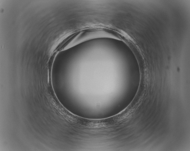 X0000055991269200509021629