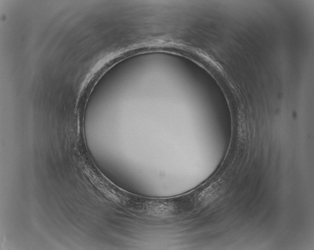 X0000055991270200509021629