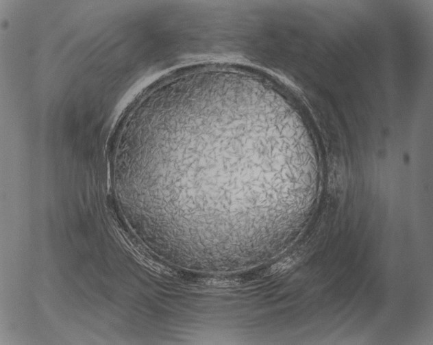 X0000055991271200509021629