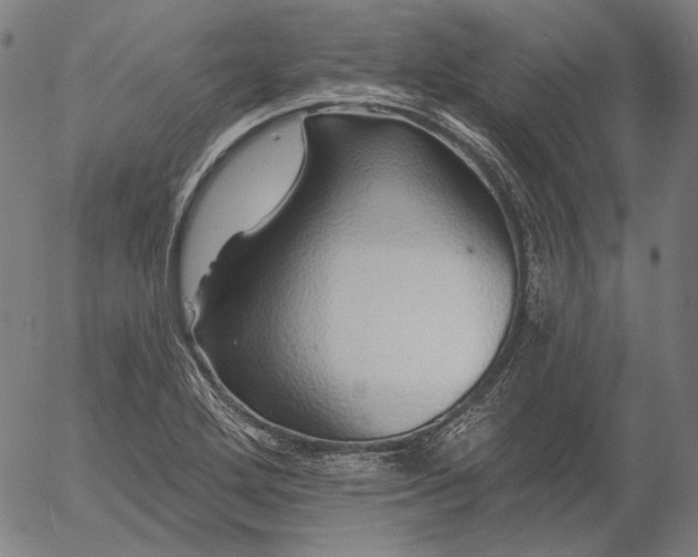 X0000055991272200509021629