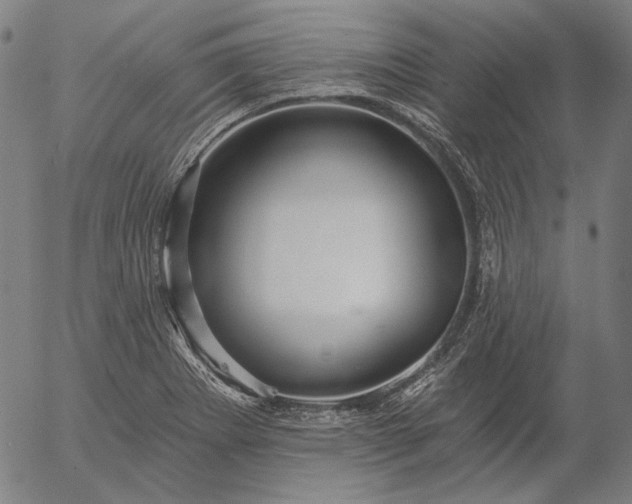 X0000055991273200509021629