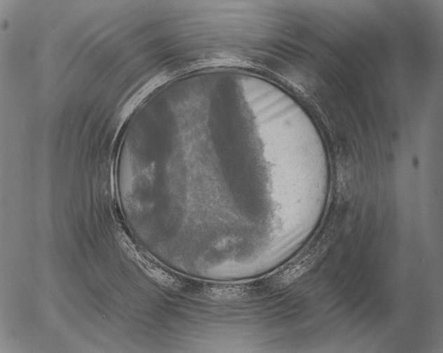 X0000055991274200509021629