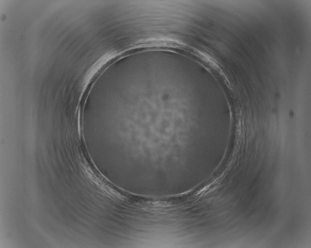 X0000055991275200509021629