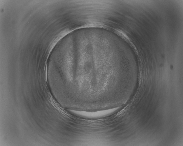 X0000055991276200509021629