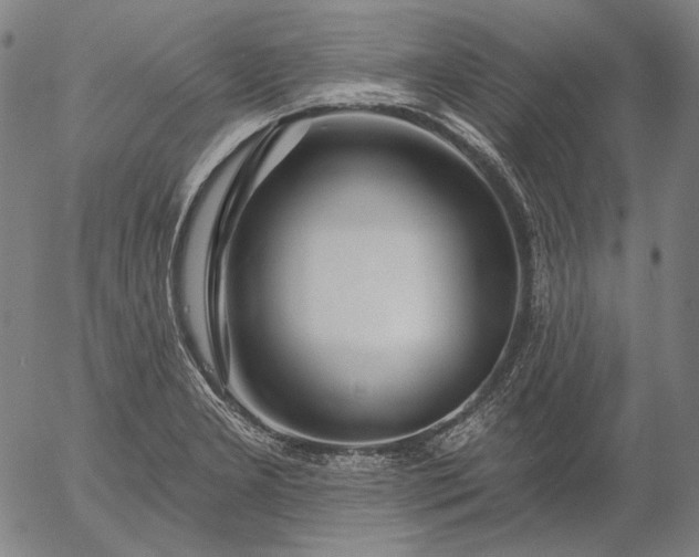 X0000055991277200509021629